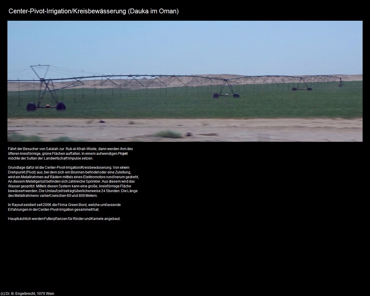 Center-Pivot-Irrigation/Kreisbewässerung (Dauka im Oman) in Kulturatlas-Arab.Emirate+Oman