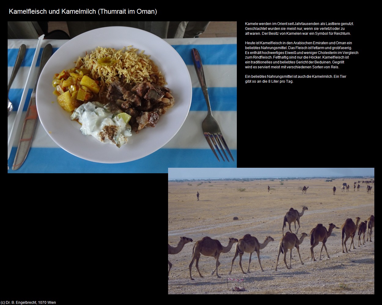 Kamelfleisch und Kamelmilch (Thumrait im Oman) in Kulturatlas-Arab.Emirate+Oman