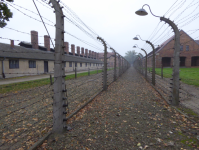 Konzentrationslager III (Oswiecim/Auschwitz)