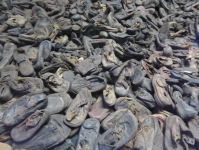 Konzentrationslager VII  (Oswiecim/Auschwitz)