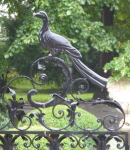 Schlosspark (Lancut)