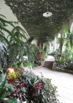 Orangerie (Lancut)