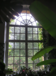 Orangerie (Lancut)