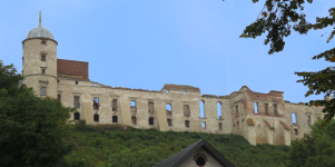 Burgruine (Janowiec)