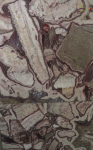 Schausammlung des Polnischen Geologischen Institutes (Kielce)