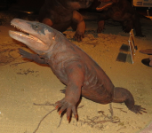 Museum für Natur und Technologie I (Starachowice)