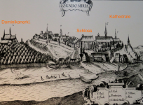 Schloss Sandomierz (Sandomierz)