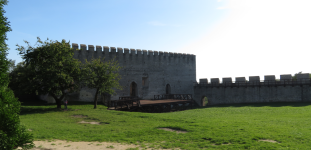 Burg und Museum (Szydlow)