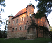 Burgschloss (Debno)