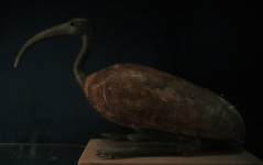 Archäologisches Museum I (Krakau/Krakow)