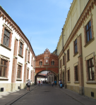 Czartoryski-Museum  (Krakau/Krakow)