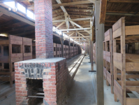 Konzentrationslager VIII (Oswiecim/Auschwitz)