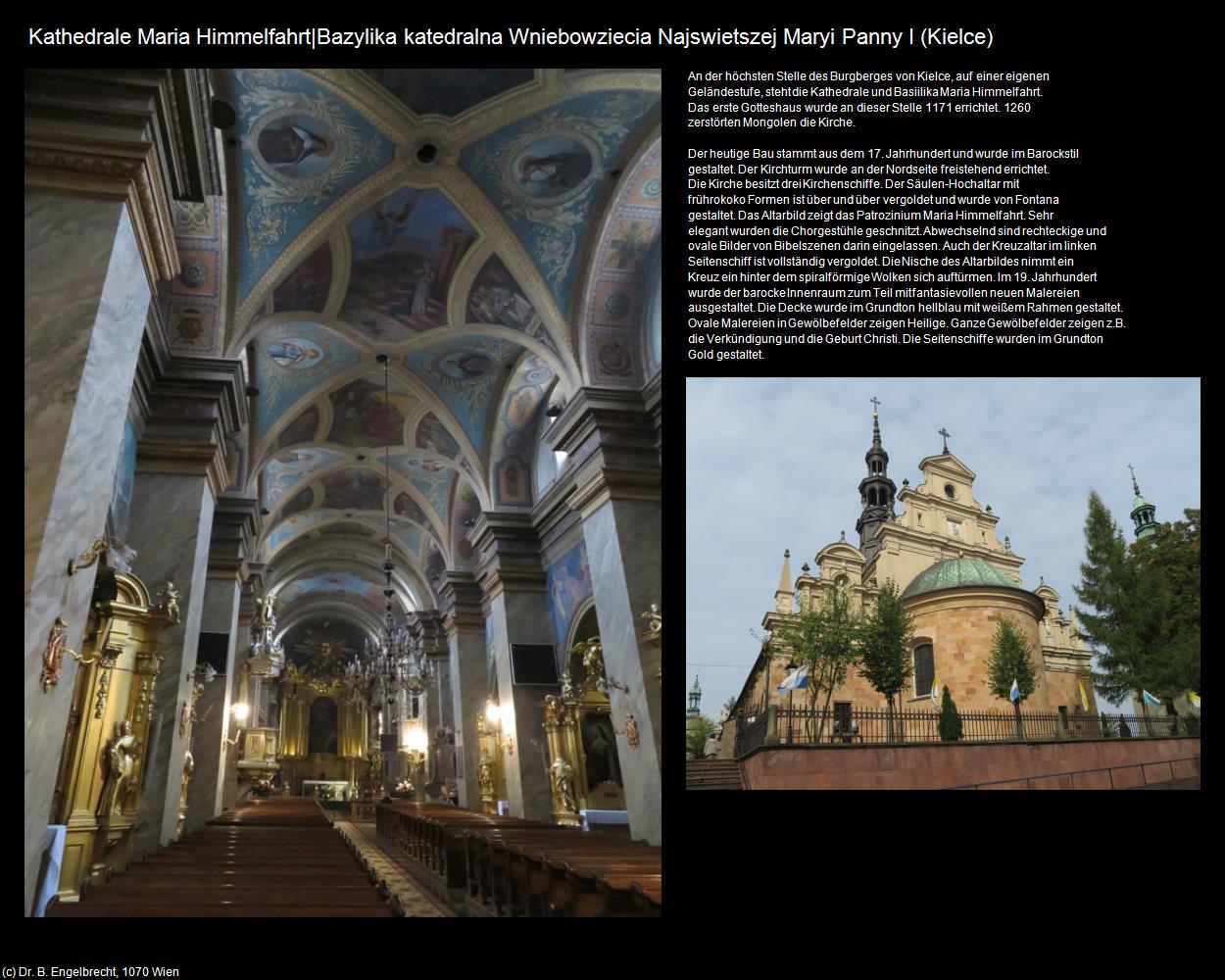 Kathedrale Maria Himmelfahrt I (Kielce) in POLEN-Galizien