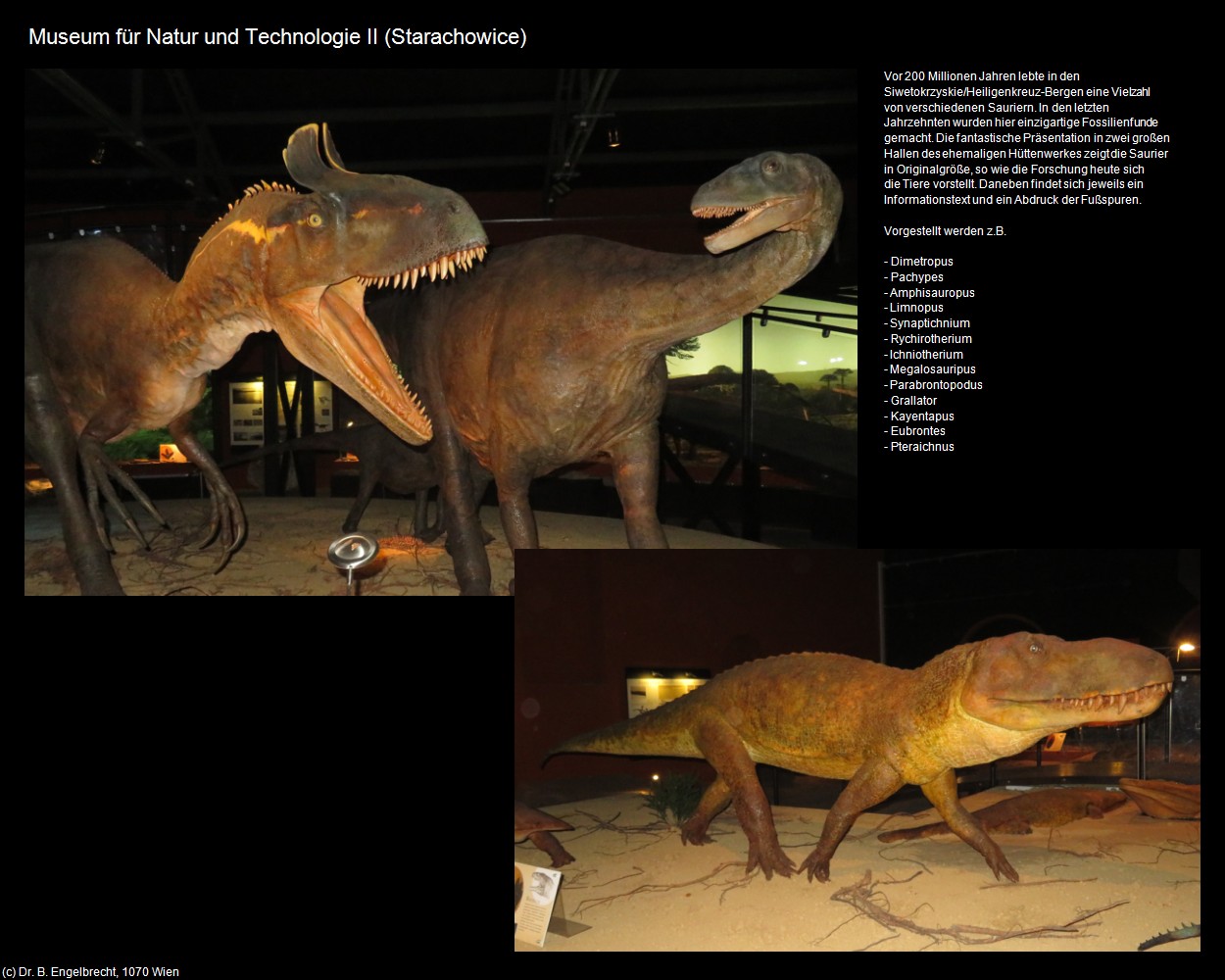 Museum für Natur und Technologie II (Starachowice) in Kulturatlas-POLEN-Galizien