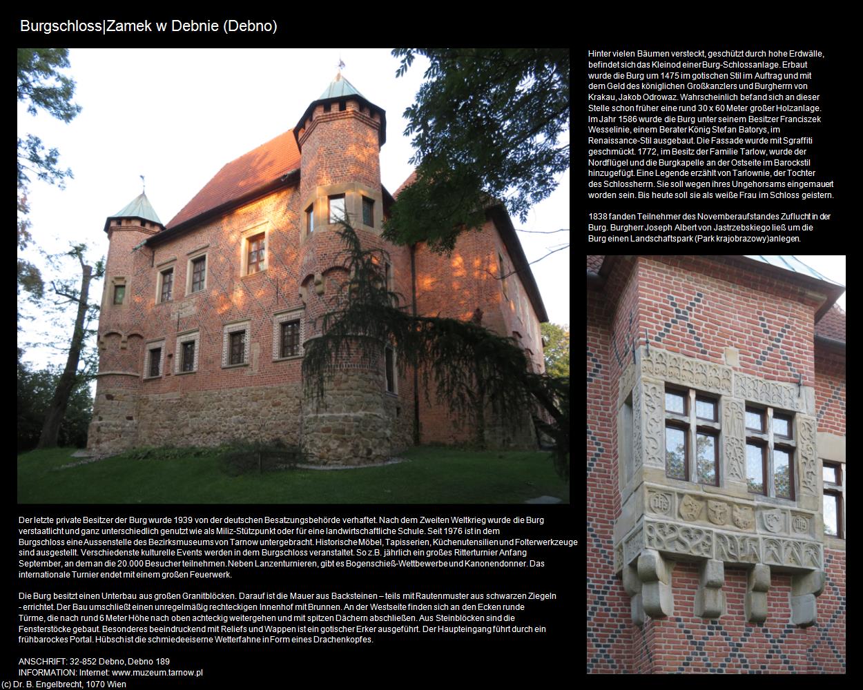 Burgschloss (Debno) in POLEN-Galizien