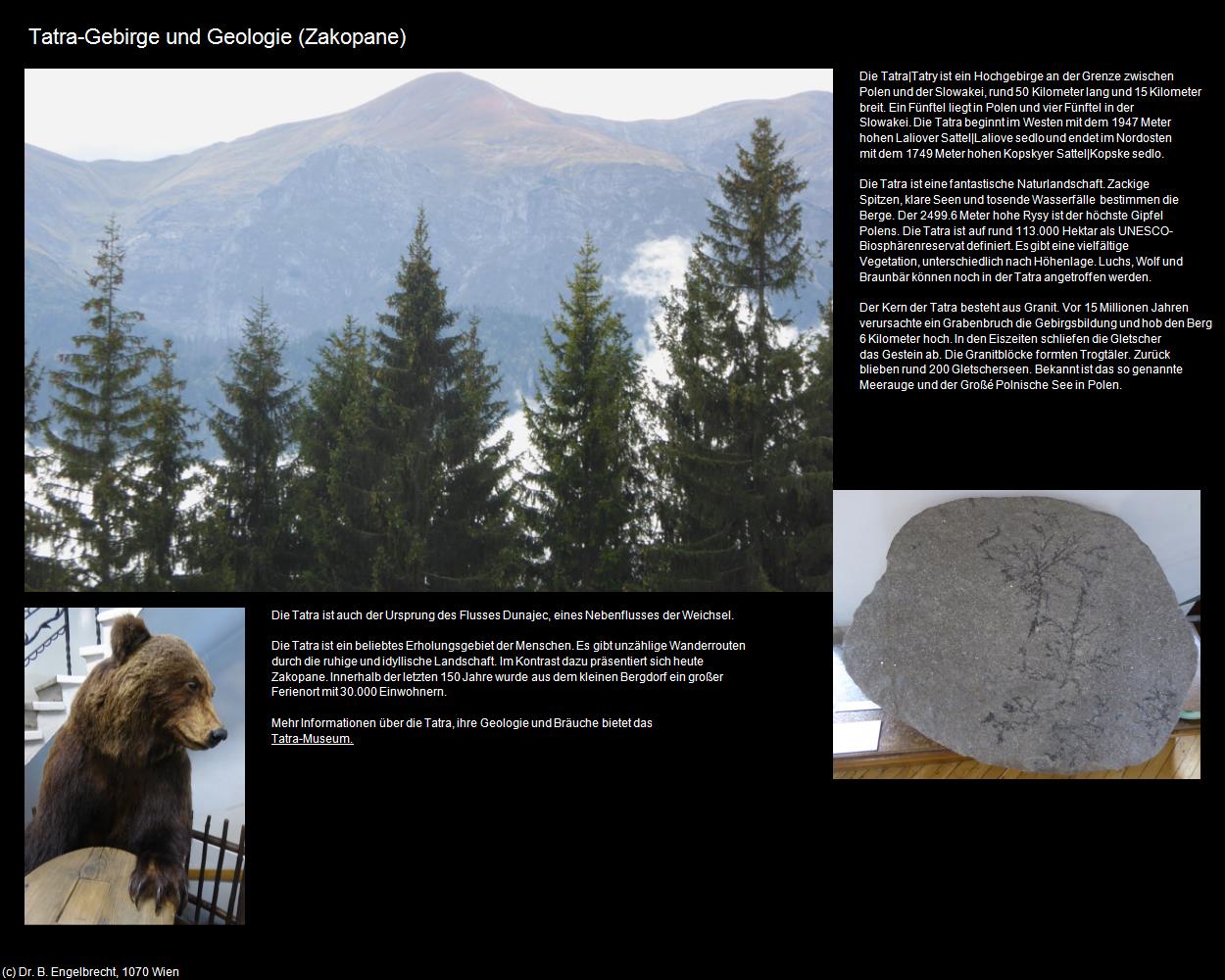 Tatra-Gebirge und Geologie (Zakopane) in POLEN-Galizien(c)B.Engelbrecht