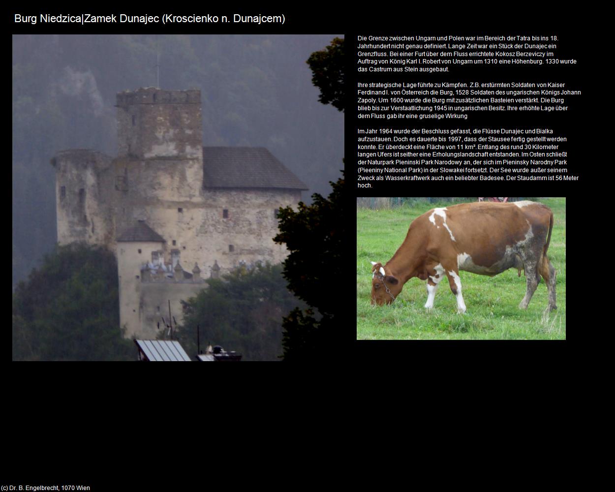 Burg Niedzica (Kroscienko n. Dunajcem) in POLEN-Galizien
