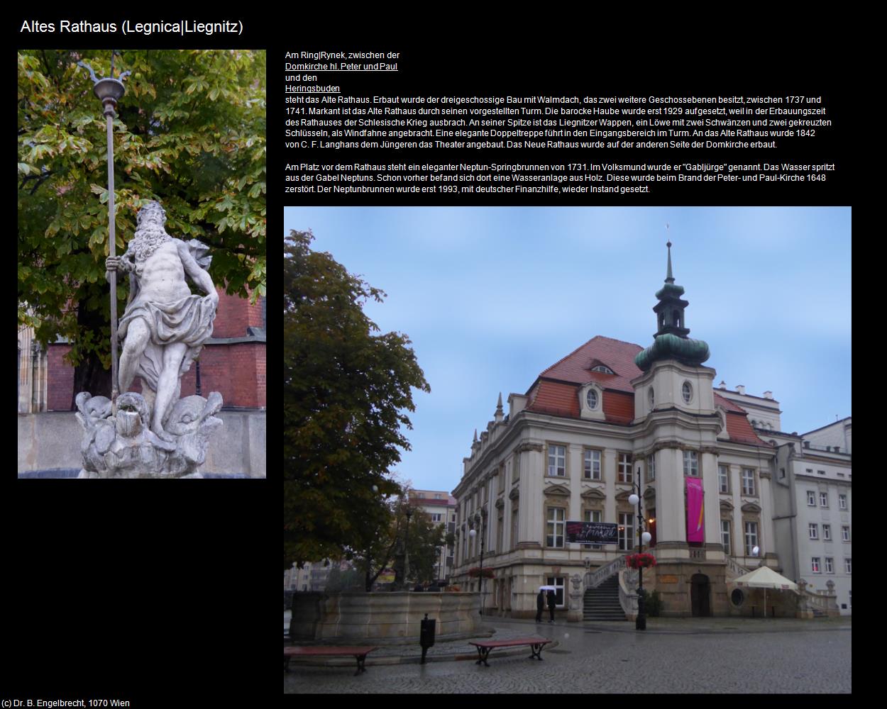 Altes Rathaus (Legnica|Liegnitz) in POLEN-Schlesien(c)B.Engelbrecht