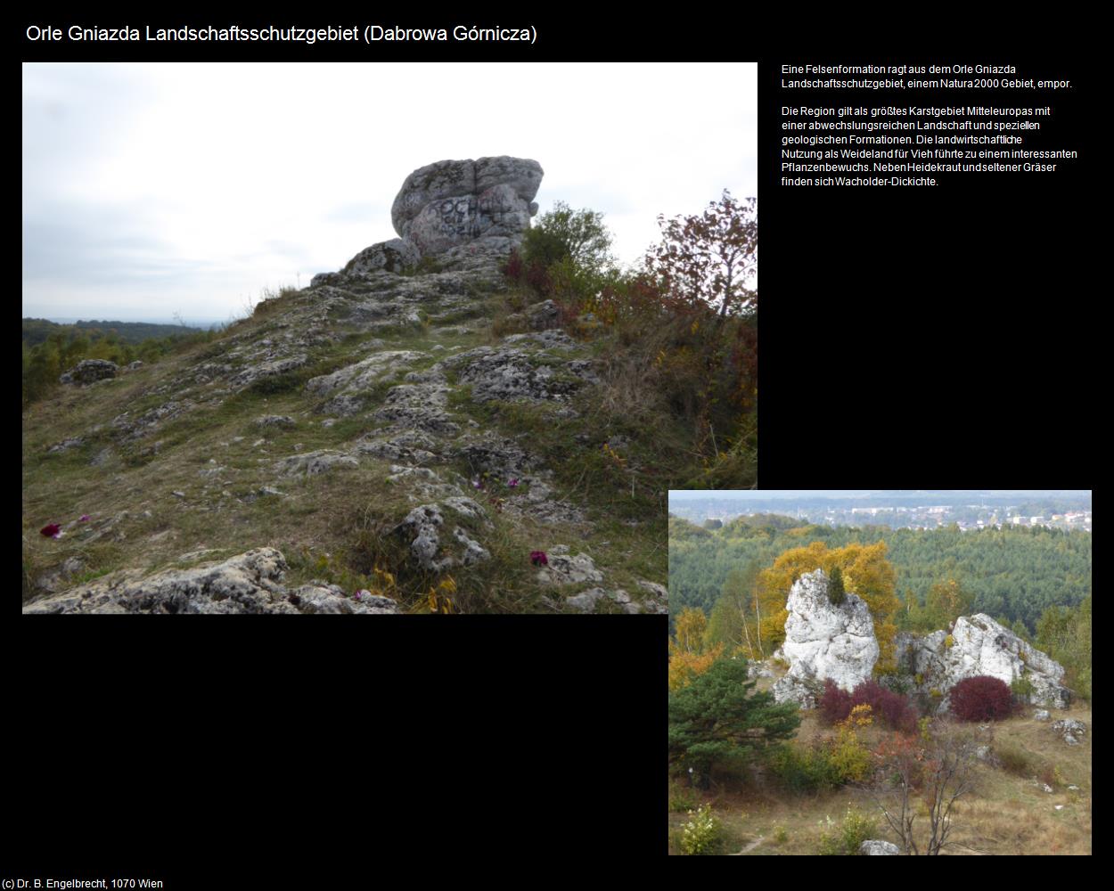 Orle Gniazda Landschaftsschutzgebiet (Preczów bei Dabrowa Górnicza) in POLEN-Schlesien