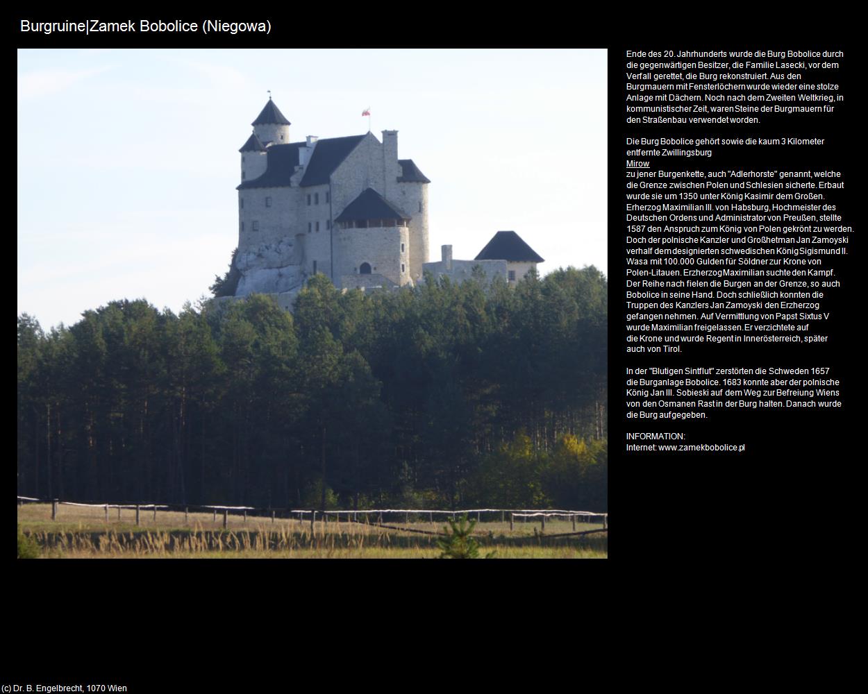 Burgruine|Zamek Bobolice (Niegowa) in POLEN-Schlesien(c)B.Engelbrecht