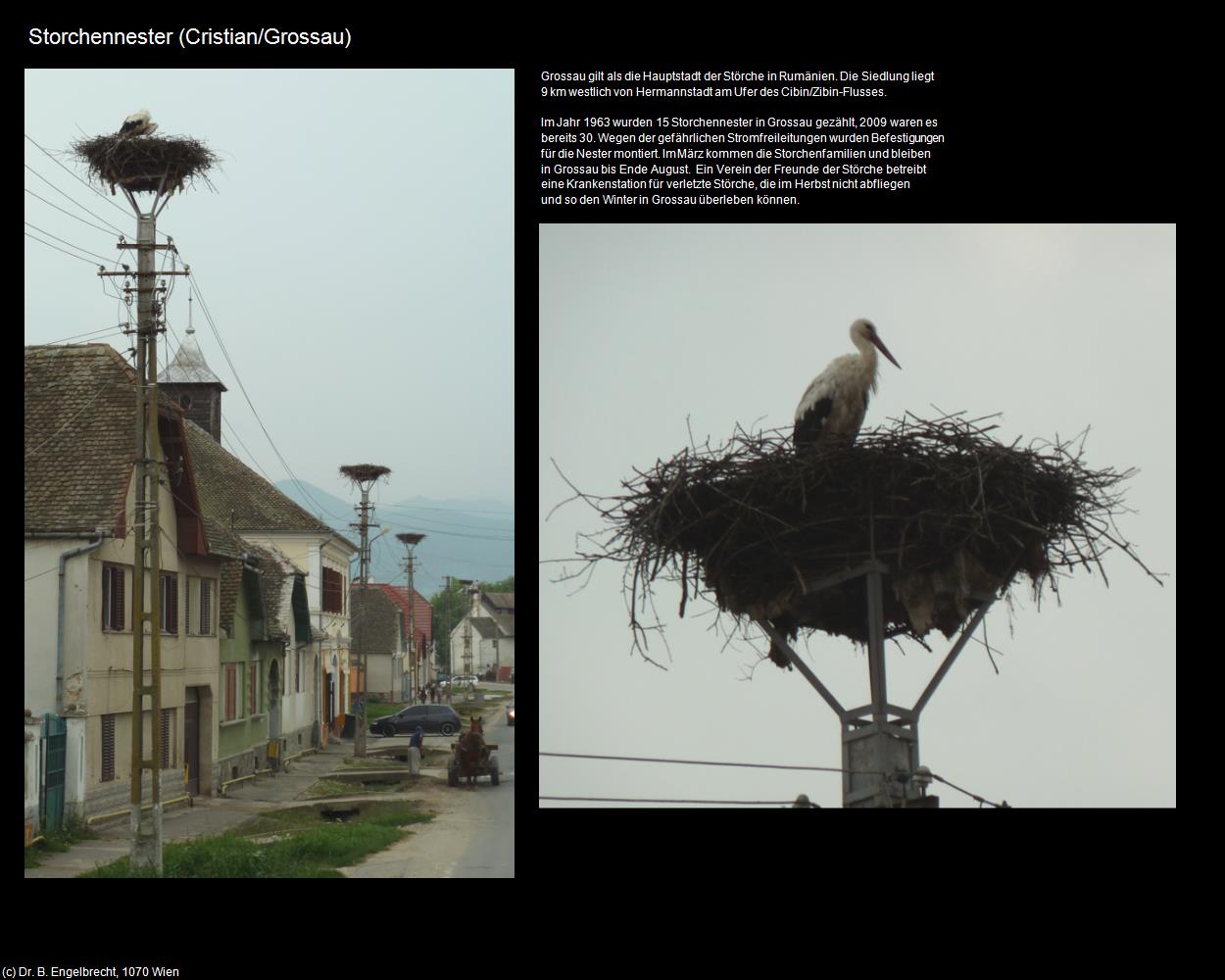 Storchennester (Cristian/Grosau) in Kulturatlas-RUMÄNIEN