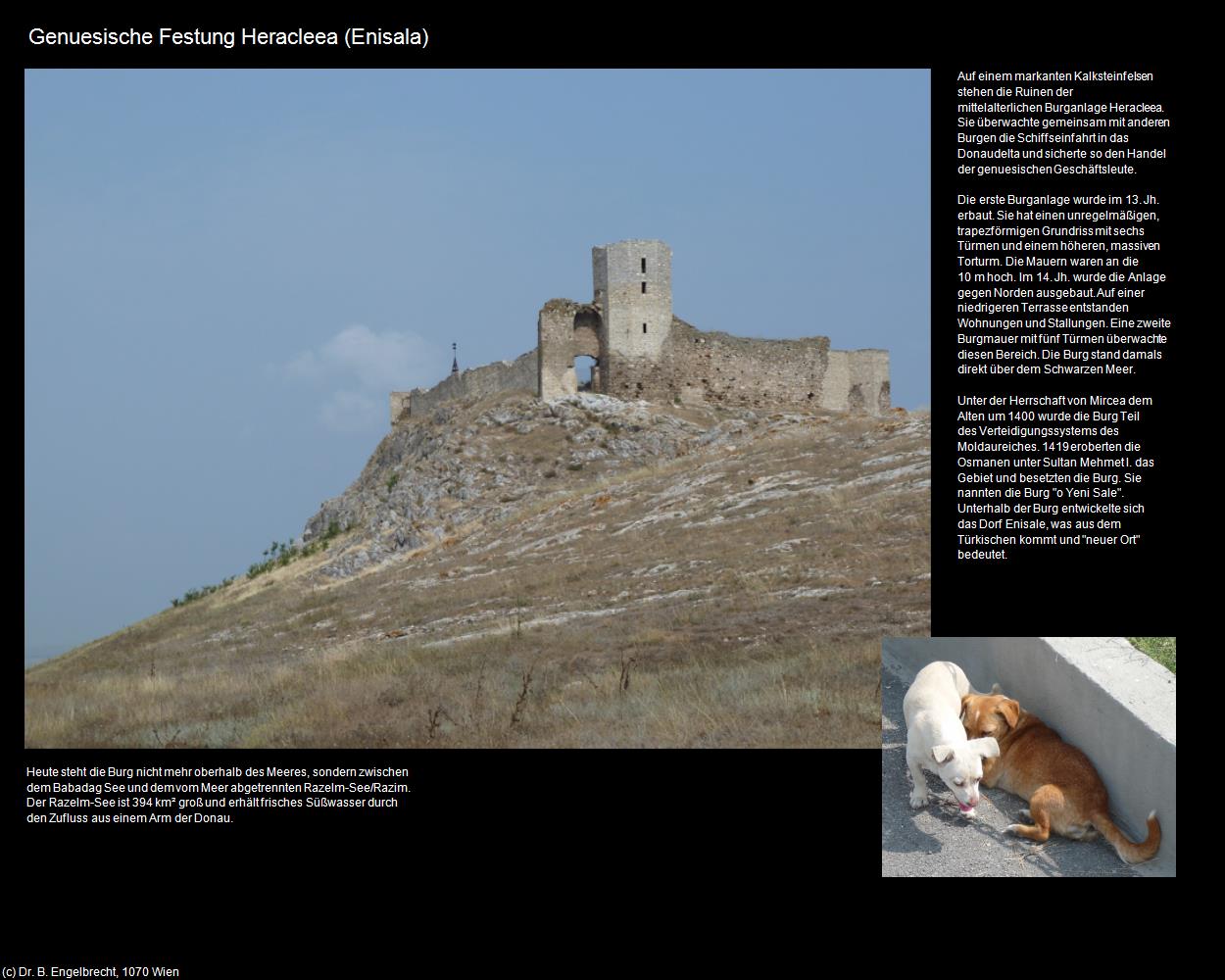 Genuesische Festung Heracleea  (Enisala) in Kulturatlas-RUMÄNIEN