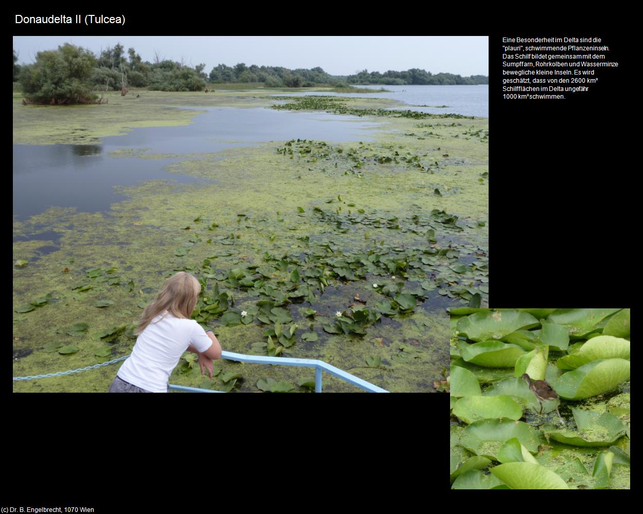 Donaudelta II (Tulcea) in Kulturatlas-RUMÄNIEN
