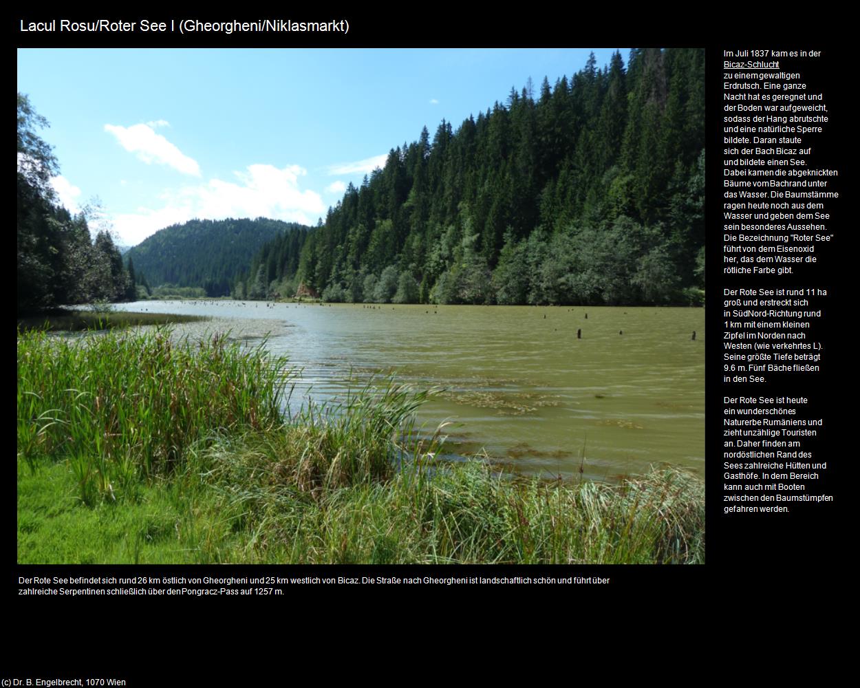 Roter See I (Gheorgheni/Niklasmarkt) in Kulturatlas-RUMÄNIEN(c)B.Engelbrecht