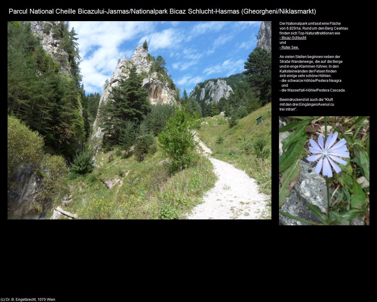 Nationalpark Bicaz Schlucht-Hasmas  (Gheorgheni/Niklasmarkt) in Kulturatlas-RUMÄNIEN(c)B.Engelbrecht