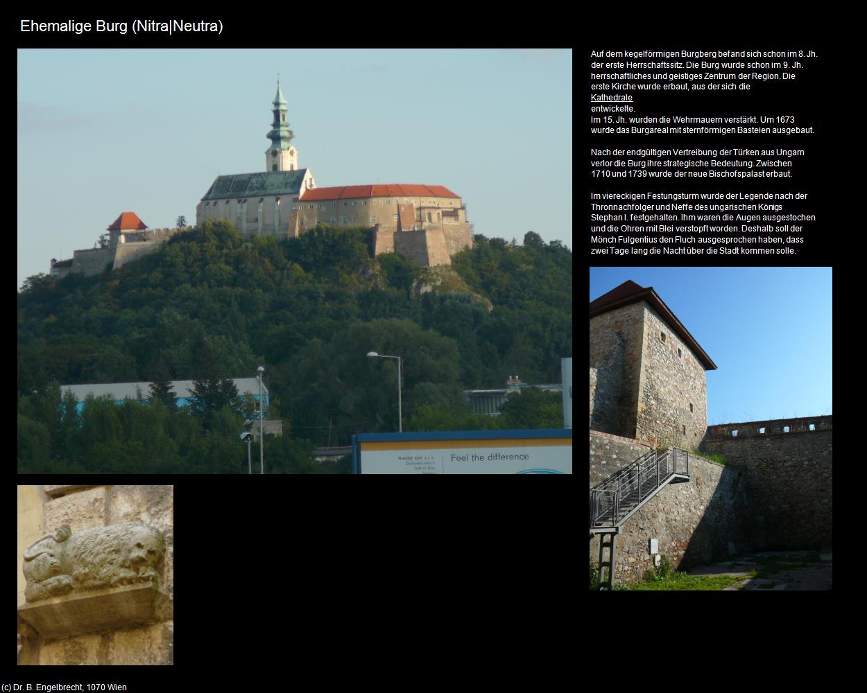 Ehem. Burg  (Nitra|Neutra) in SLOWAKEI(c)B.Engelbrecht