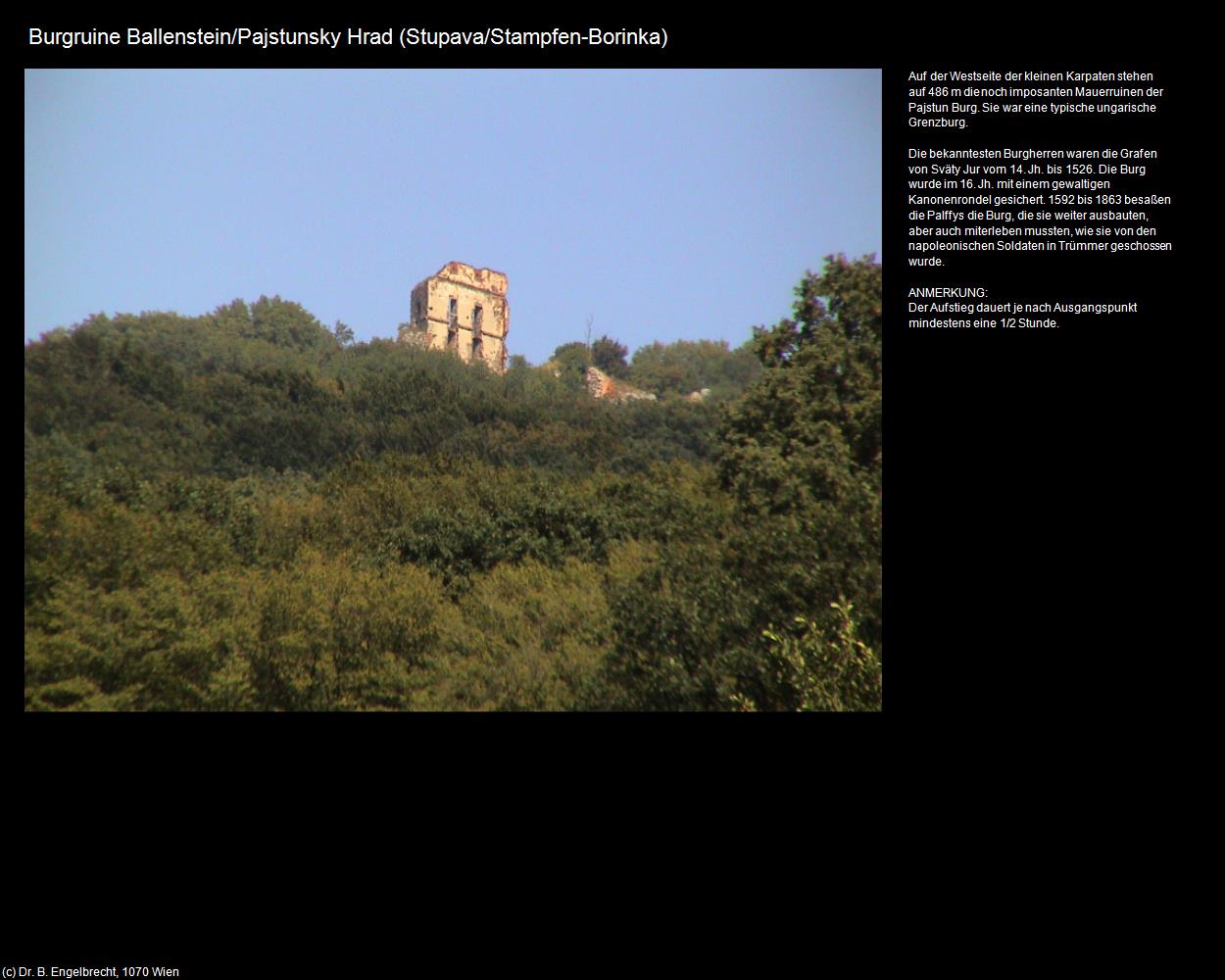 Burgruine Ballenstein/Pajstunsky Hrad (Borinka) (Stupava/Stampfen) in SLOWAKEI