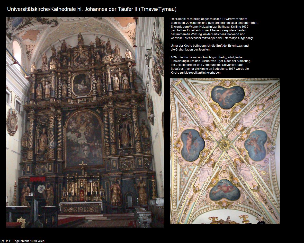 Universitätskirche-Kathedrale hl. Johannes der Täufer II (Trnava/Tyrnau) in SLOWAKEI