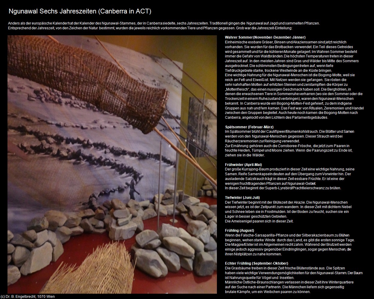 Ngunawal Sechs Jahreszeiten (Canberra in AUS-ACT) in Kulturatlas-AUSTRALIEN