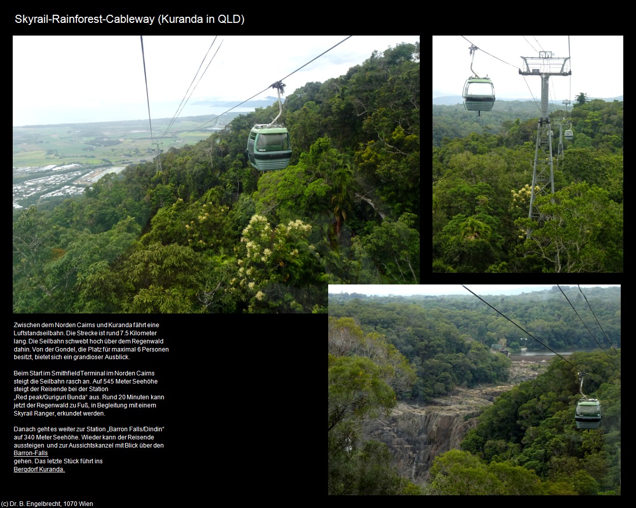 Skyrail-Rainforest-Cableway (Smithfield in AUS-QLD) in Kulturatlas-AUSTRALIEN(c)B.Engelbrecht