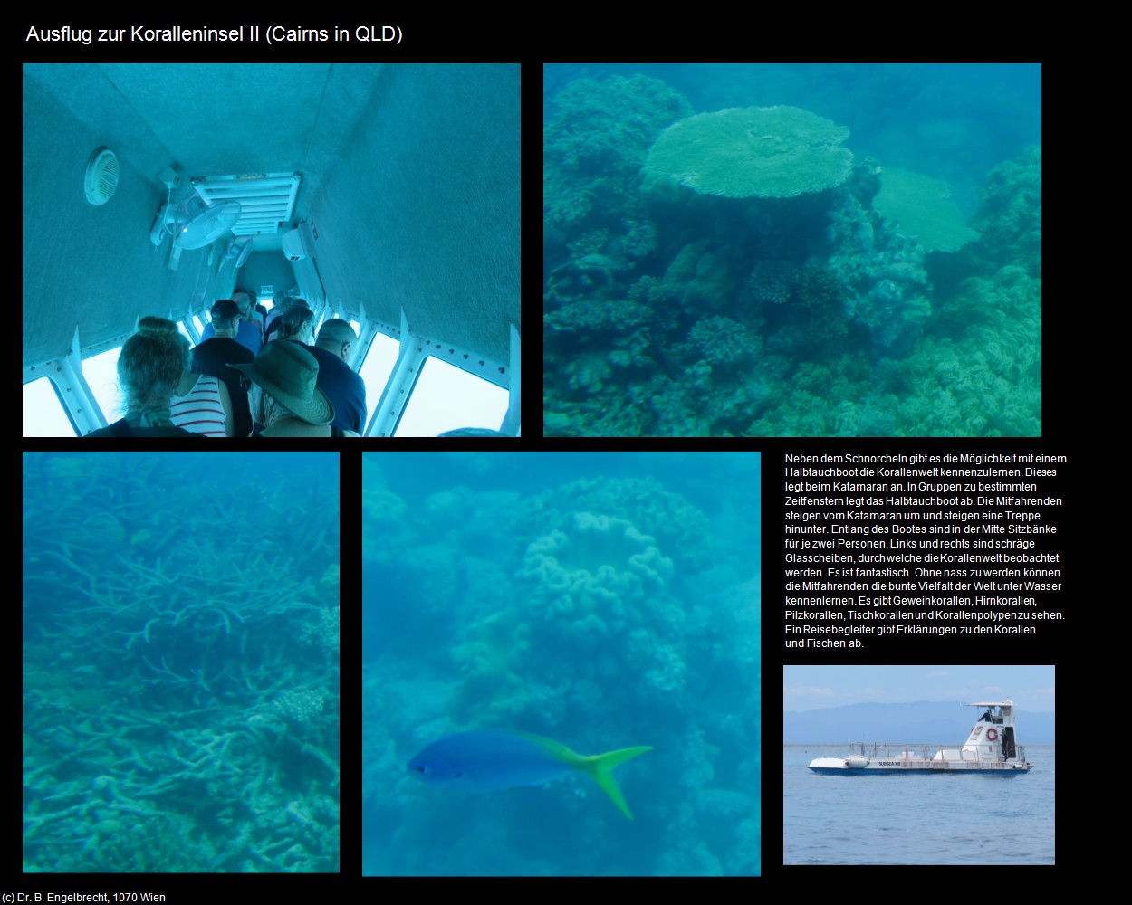 Ausflug zur Koralleninsel II (Cairns in AUS-QLD) in Kulturatlas-AUSTRALIEN