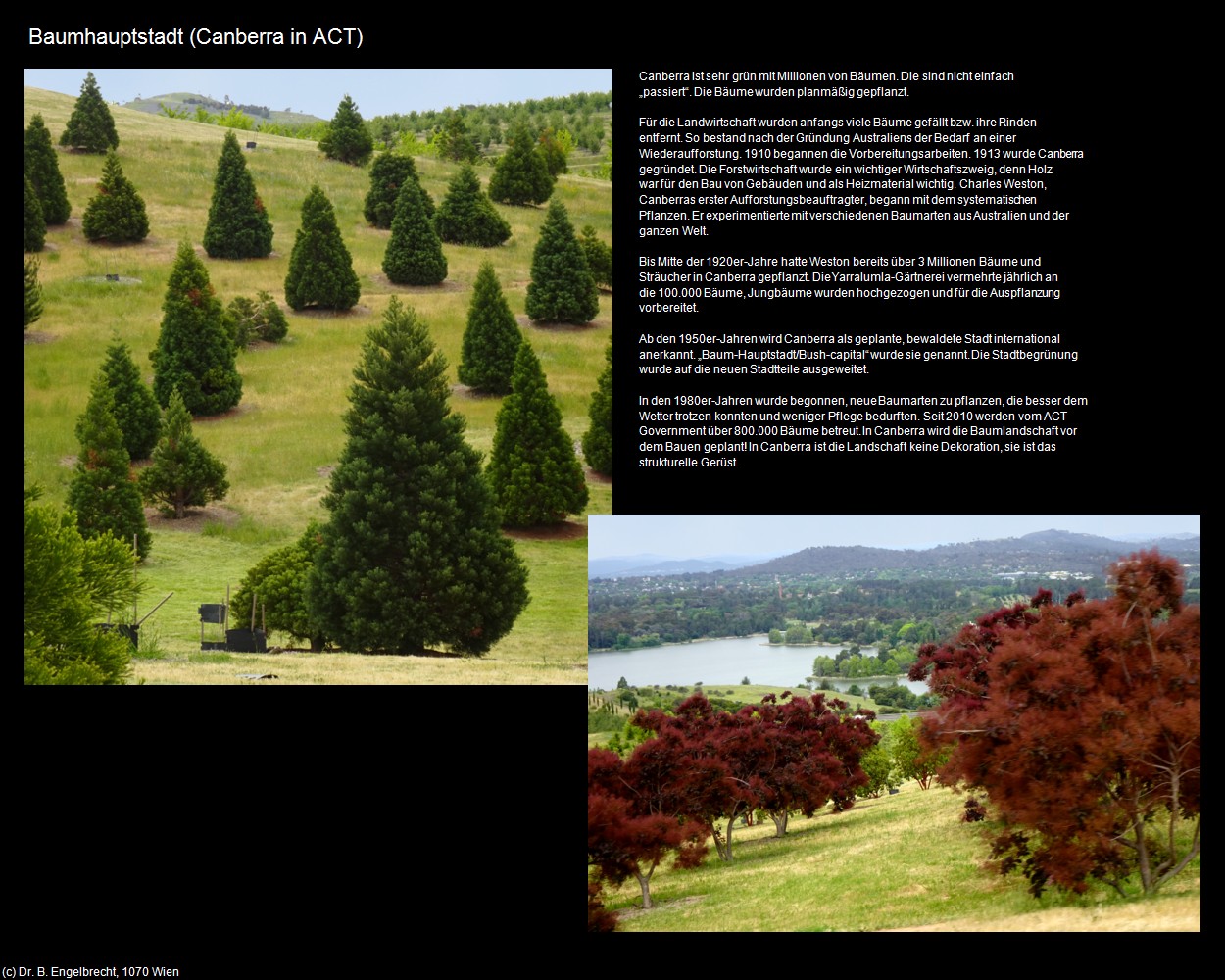 Baumhauptstadt (Canberra in AUS-ACT) in Kulturatlas-AUSTRALIEN
