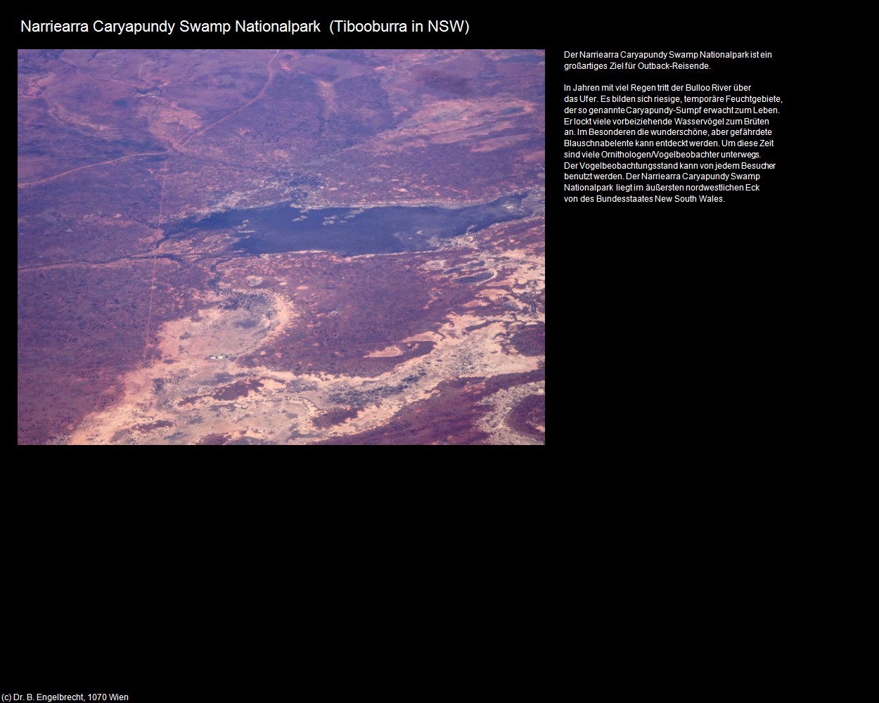Narriearra Caryapundy Swamp Nationalpark (Tibooburra in AUS-NSW ) in Kulturatlas-AUSTRALIEN
