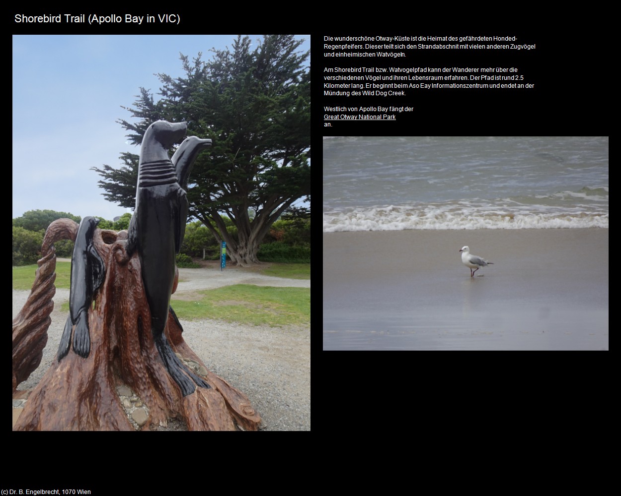 Shorebird Trail (Apollo Bay in AUS-VIC) in Kulturatlas-AUSTRALIEN(c)B.Engelbrecht