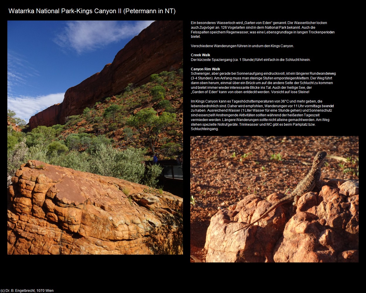 Watarrka National Park-Kings Canyon II (Petermann in AUS-NT) in Kulturatlas-AUSTRALIEN