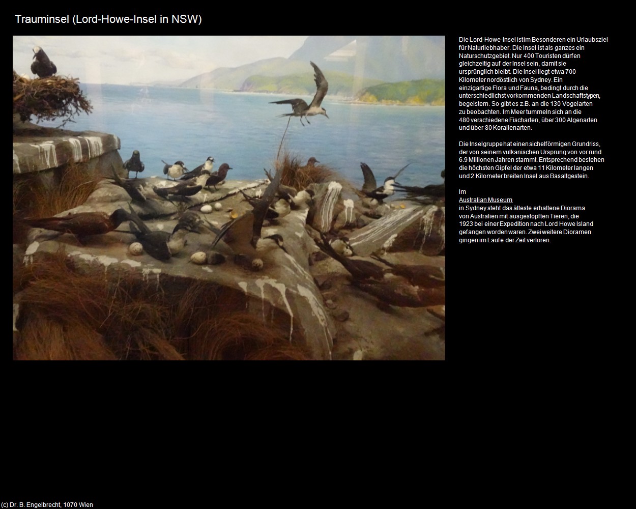 Trauminsel  (Lord-Howe-Insel in AUS-NSW) in Kulturatlas-AUSTRALIEN(c)B.Engelbrecht