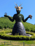Burgruine Taggenbrunn mit Festspielen (Sankt Georgen am L&auml;ngsee)