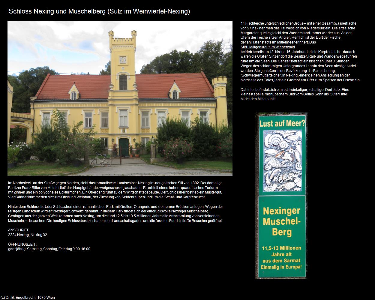Schloss Nexing und Muschelberg (Nexing) (Sulz im Weinviertel) in Kulturatlas-NIEDERÖSTERREICH(c)B.Engelbrecht