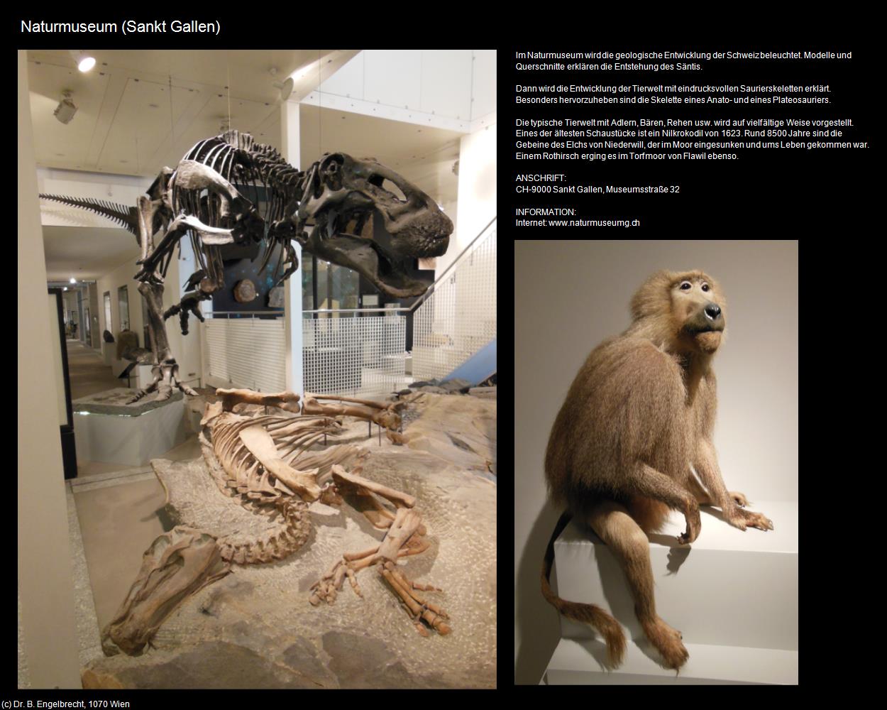 Naturmuseum (Sankt Gallen) in SCHWEIZ