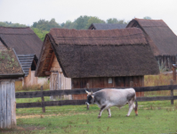 Freilichtlabor Lauresham (Lorsch)