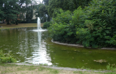 Herrngarten (Darmstadt)