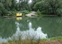Hist. Bagger am Altrheinufer Ginsheim (Ginsheim-Gustavburg)