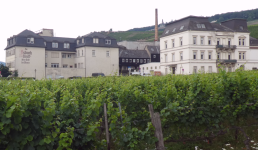 Asbach-Uralt (R&uuml;desheim am Rhein)