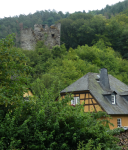 Ruine Lauksburg (Espenschied)  (Lorch am Rhein)