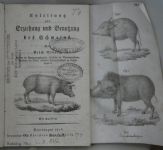 Stadt- und Bergbaumuseum II (Weilburg an der Lahn)