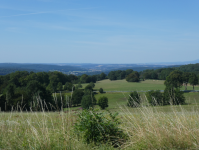 Vogelsberg (Schotten)